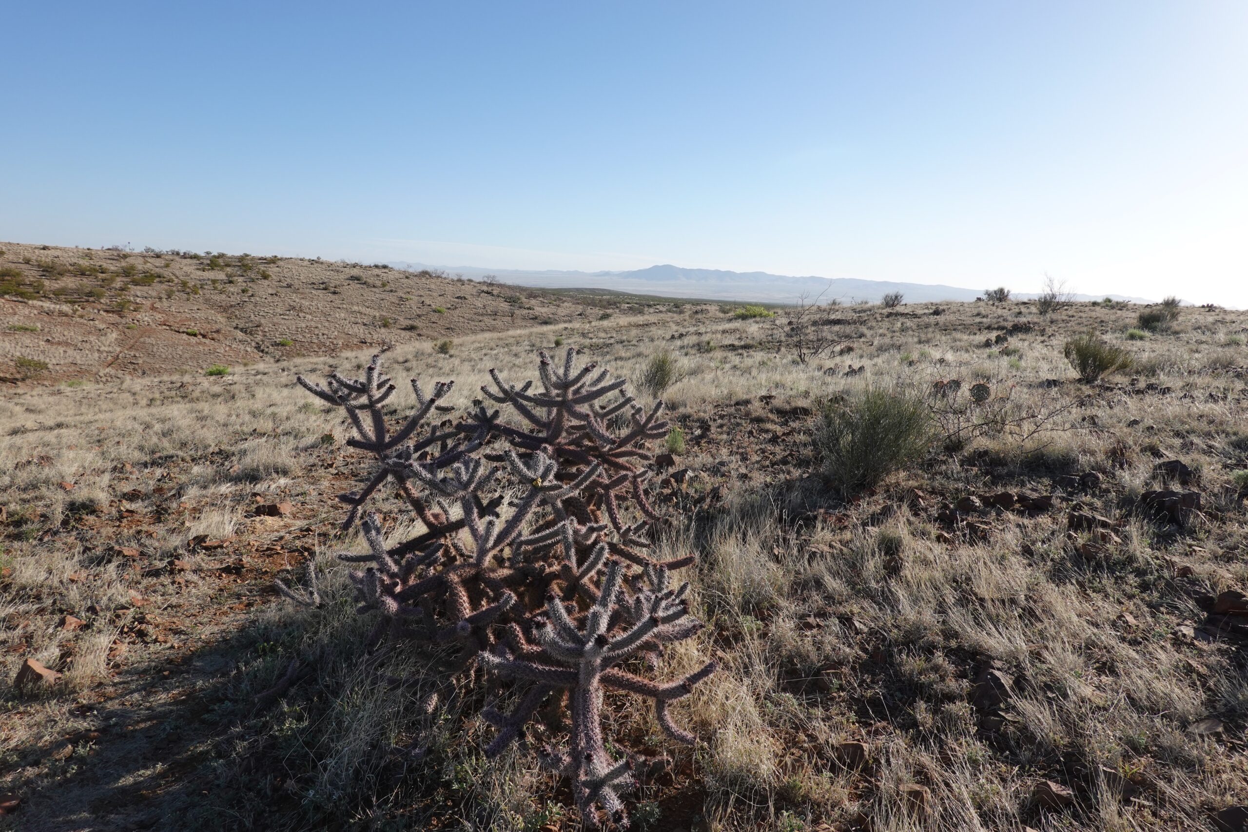 [Day 4] Return to Lordsburg