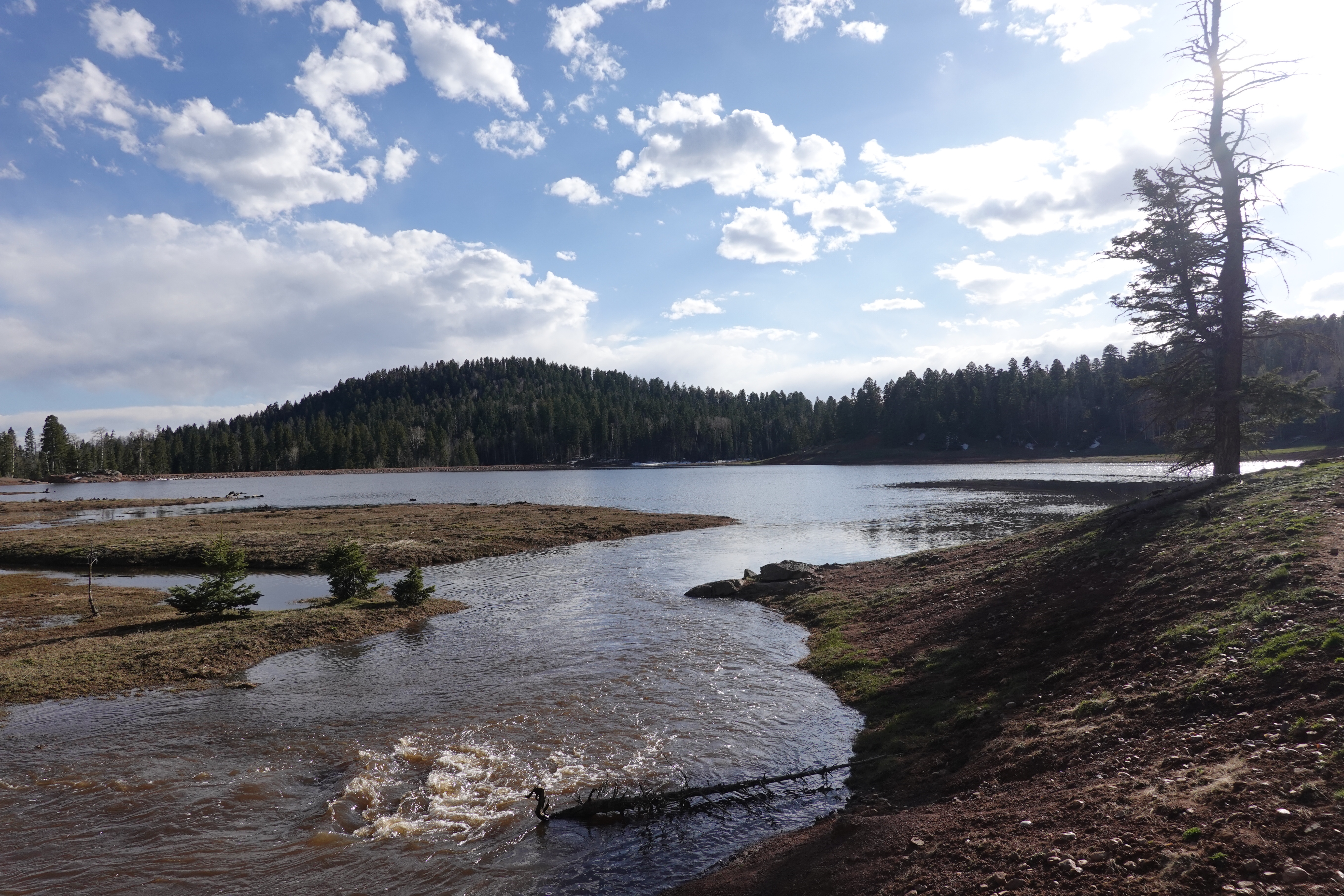 [Day 24] San Pedro Wilderness