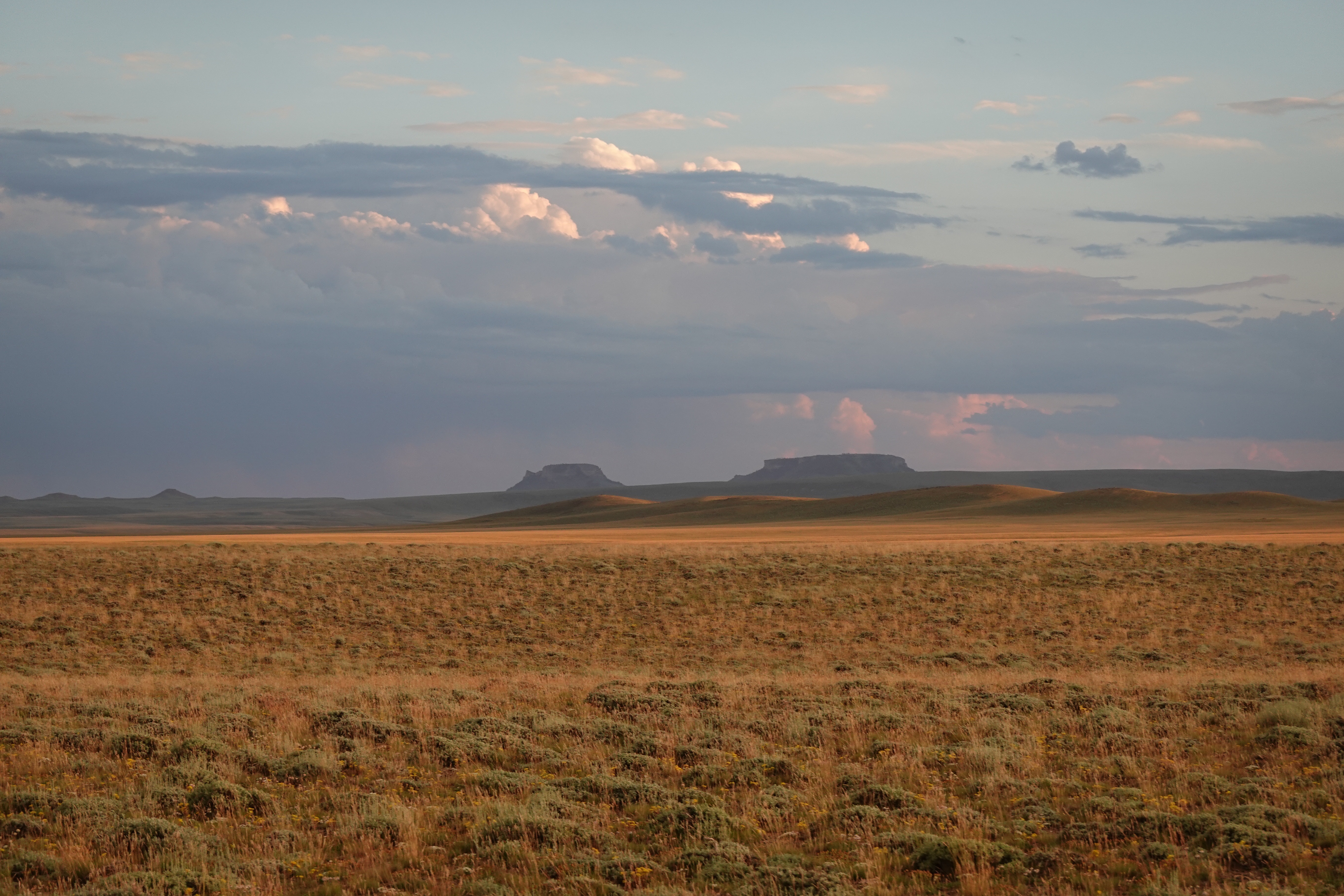 [Day 71] Red Desert