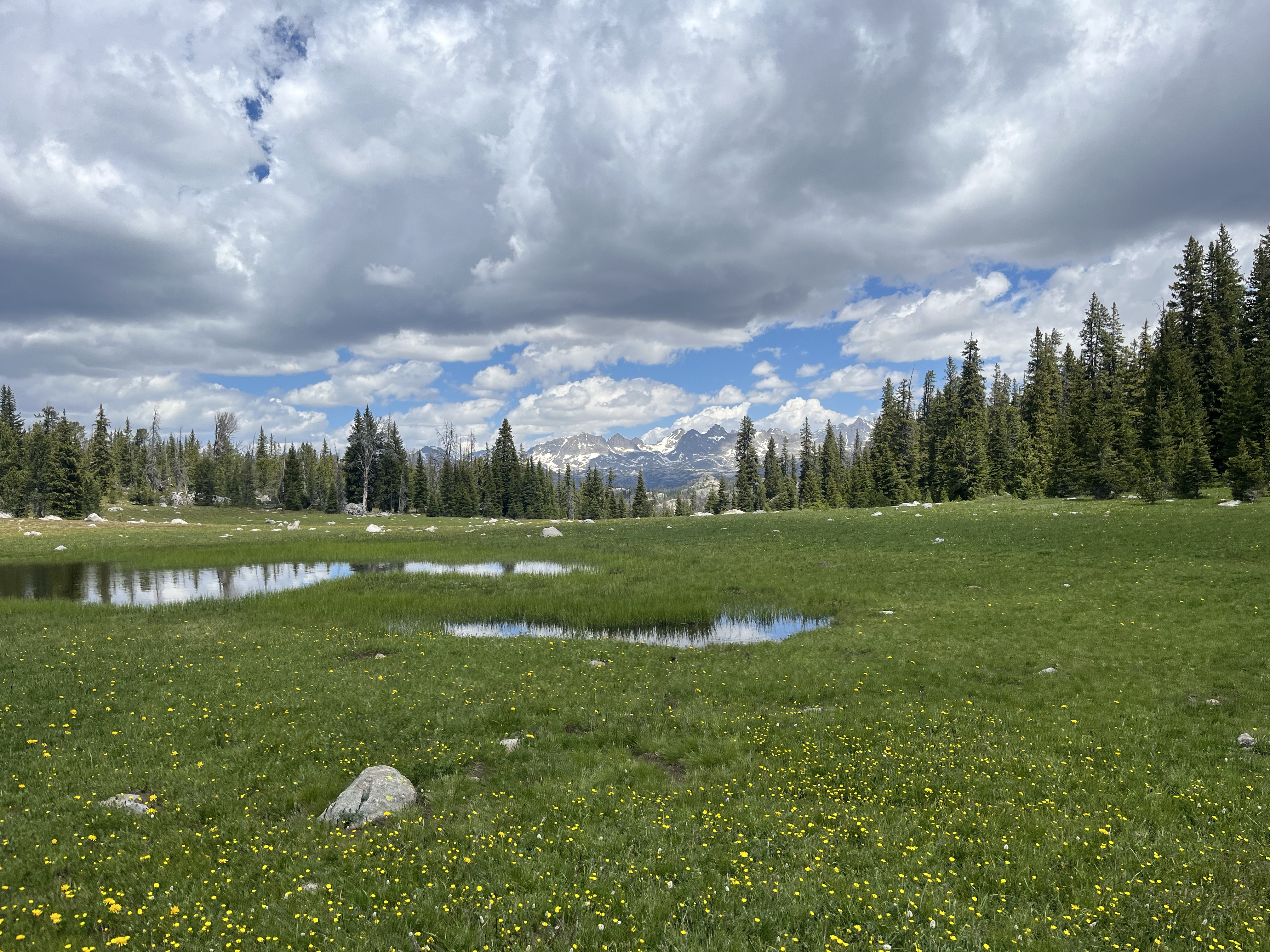 [Day 76] Pole Creek to Pinedale