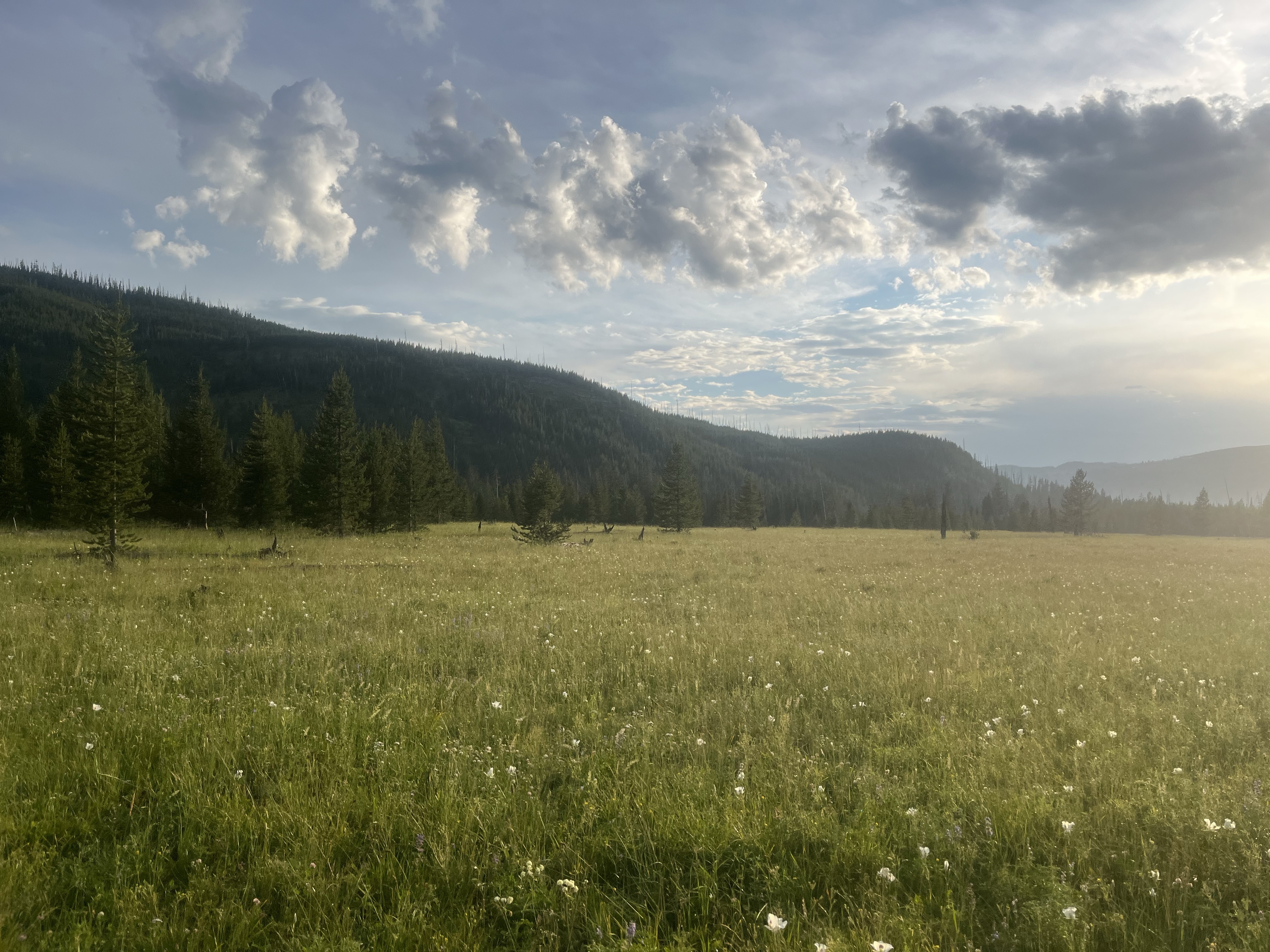 [Day 82] Yellowstone Entrance