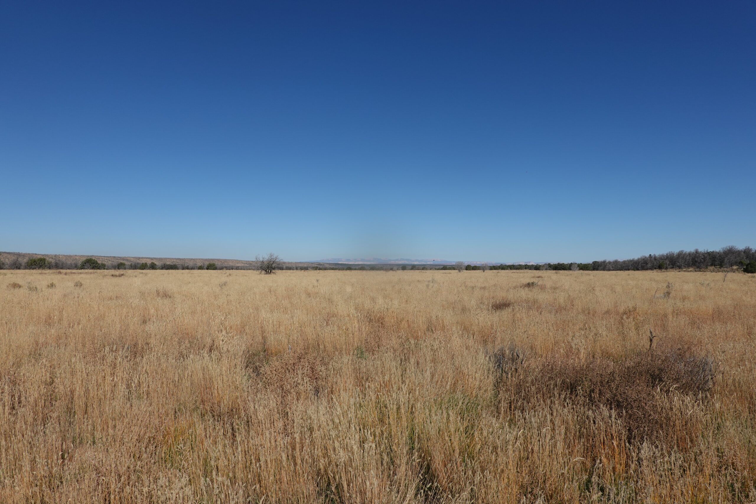 [Day 2] Kaibab Plateau