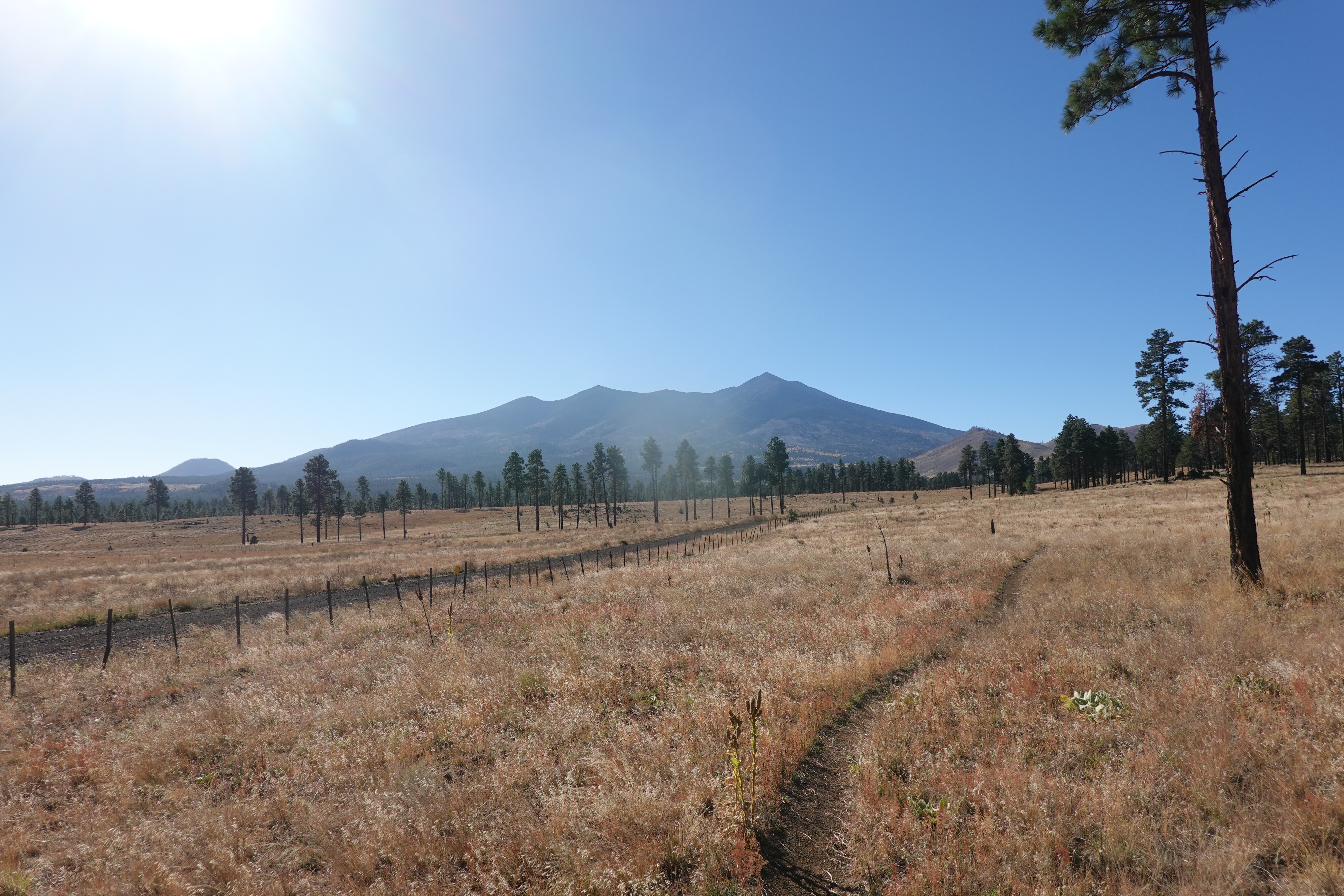 [Day 8] San Francisco Peaks