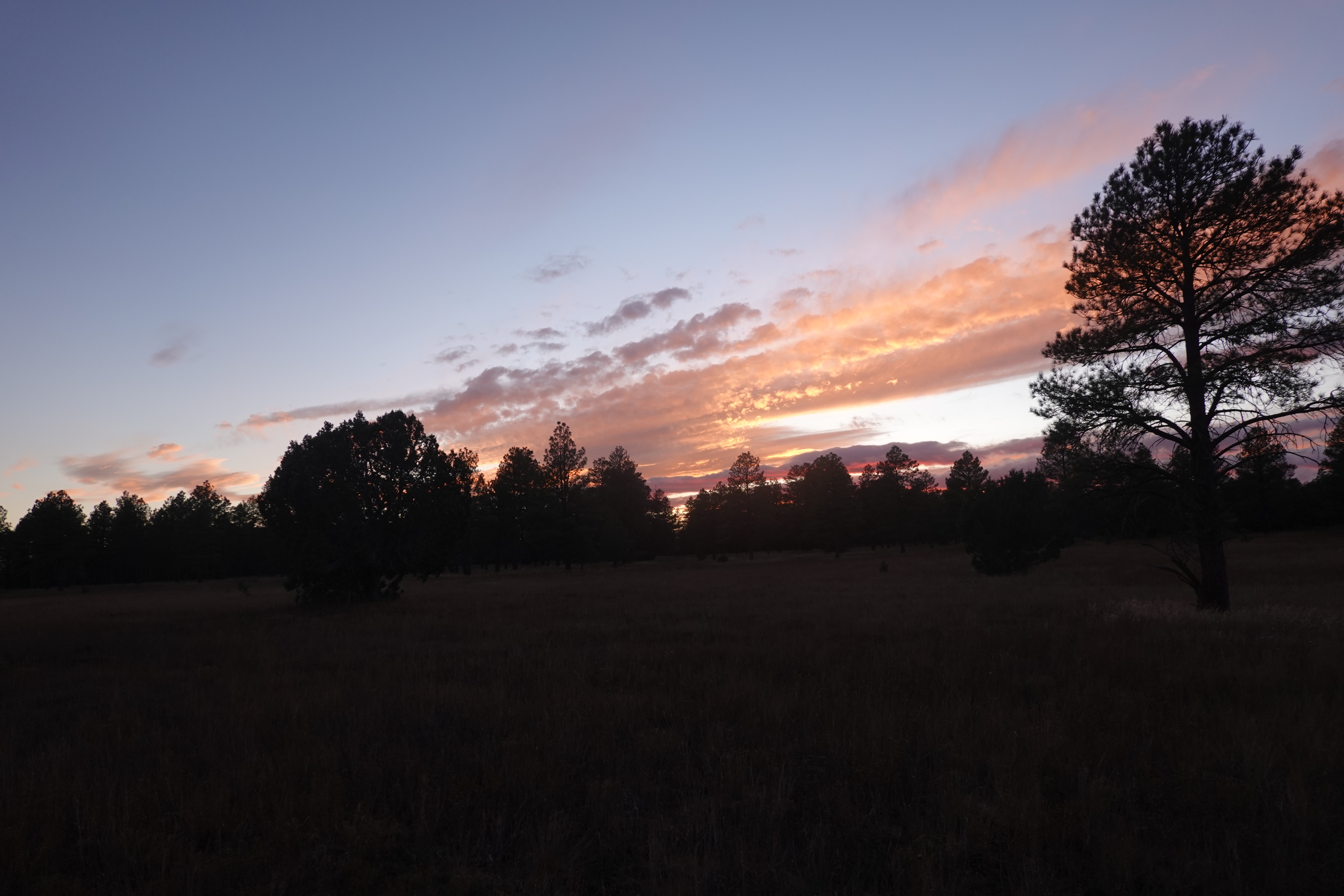 [Day 10] Lowell Observatory