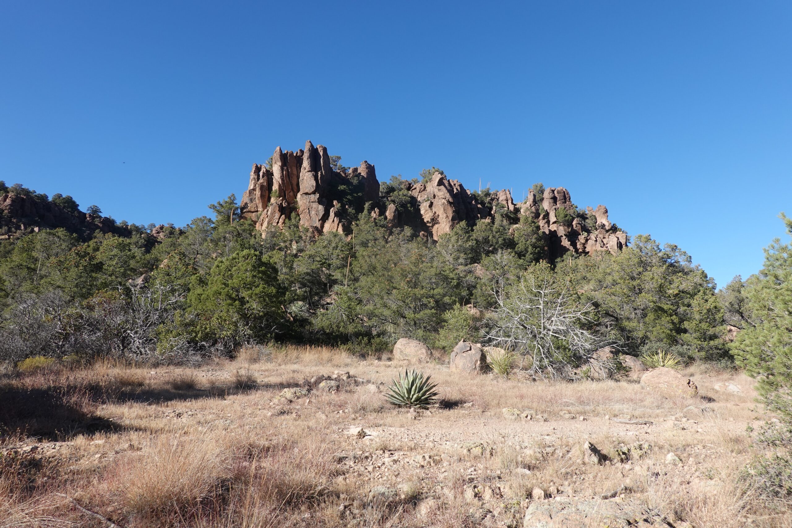 [Day 20] Superstition Wilderness