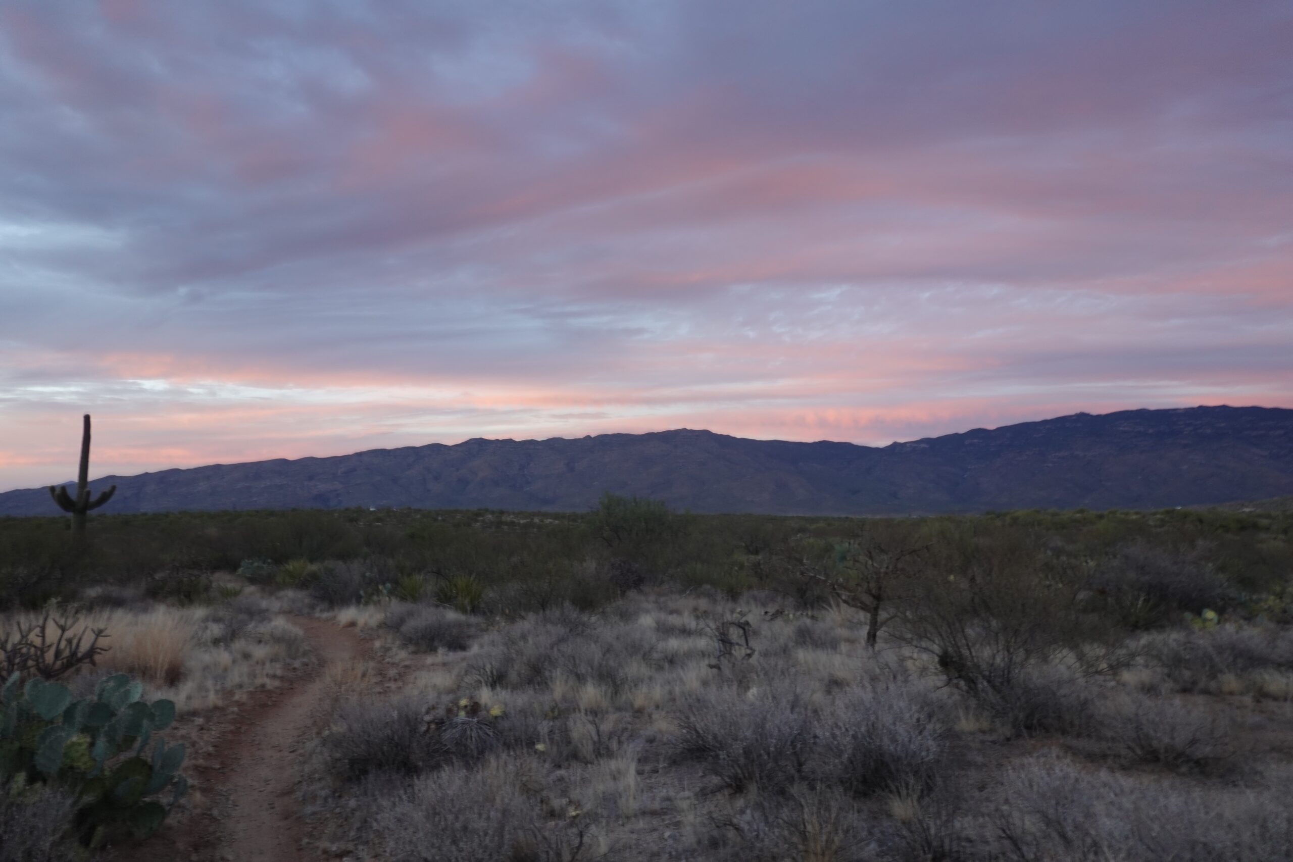 [Day 28] Saguaro Wilderness