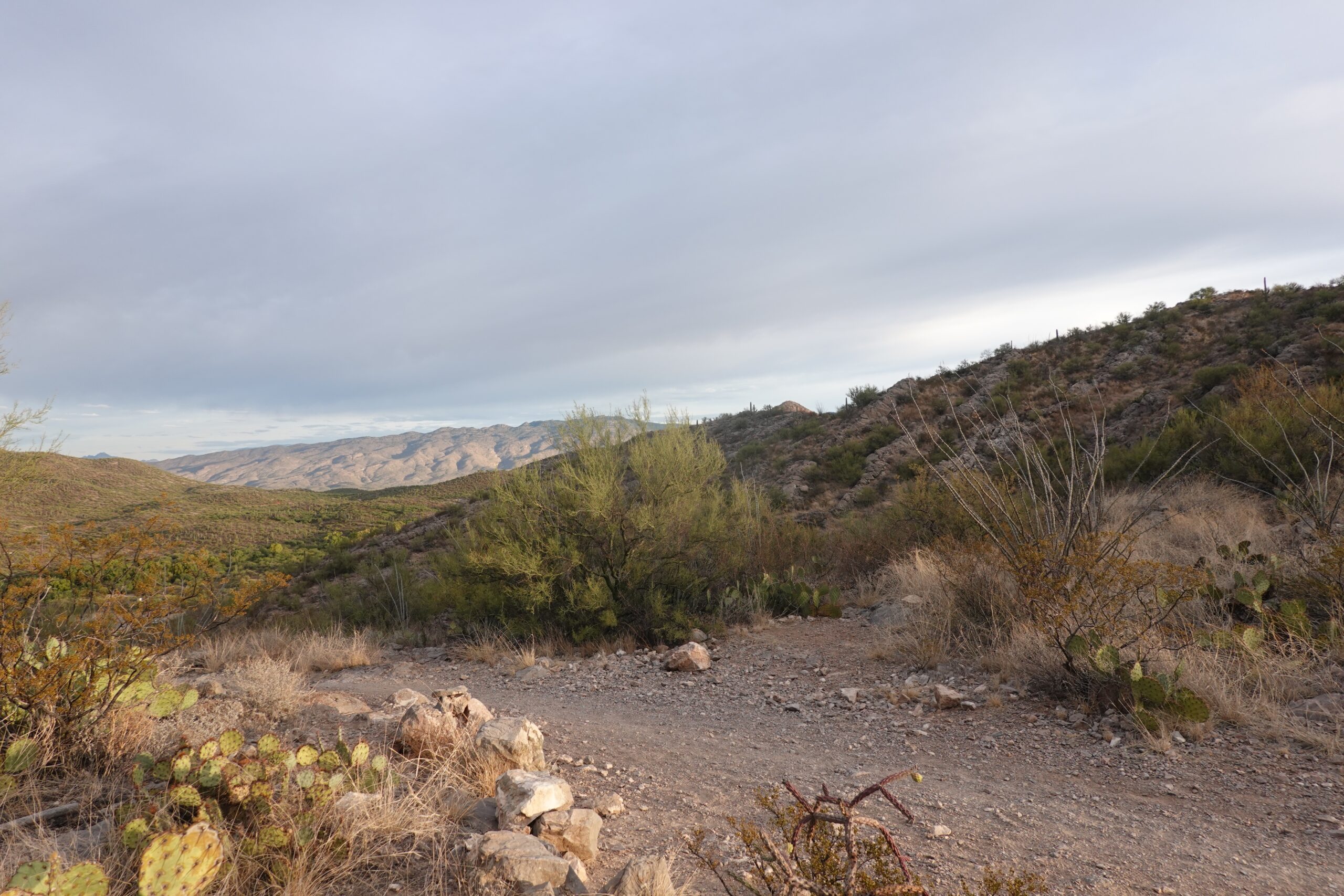 [Day 29] Interstate 10