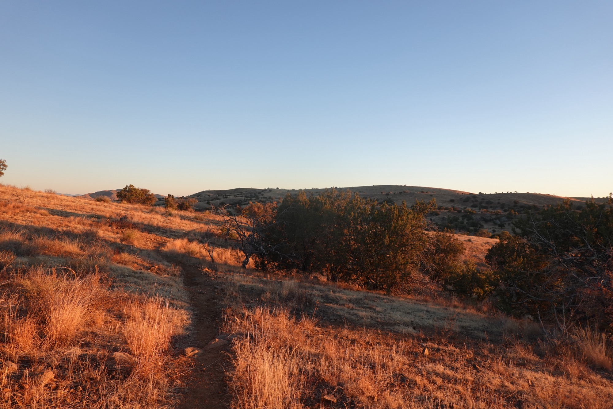 [Day 31] Santa Rita Mountains